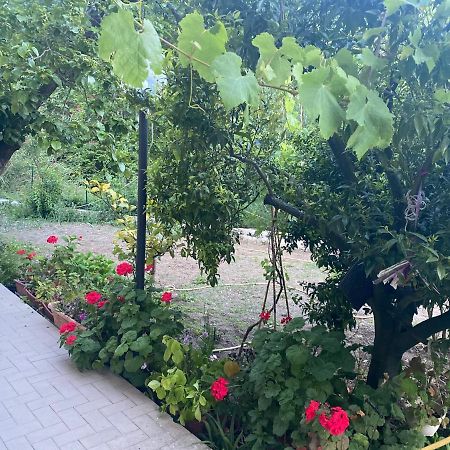 Proprieta Intero Allogio Con Parcheggio Villa Сестри Леванте Екстериор снимка